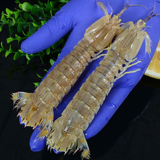 Bí quyết chọn hải sản tươi ngon mỗi ngày